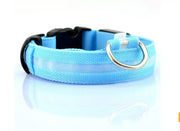 Bright Paws LED Collar