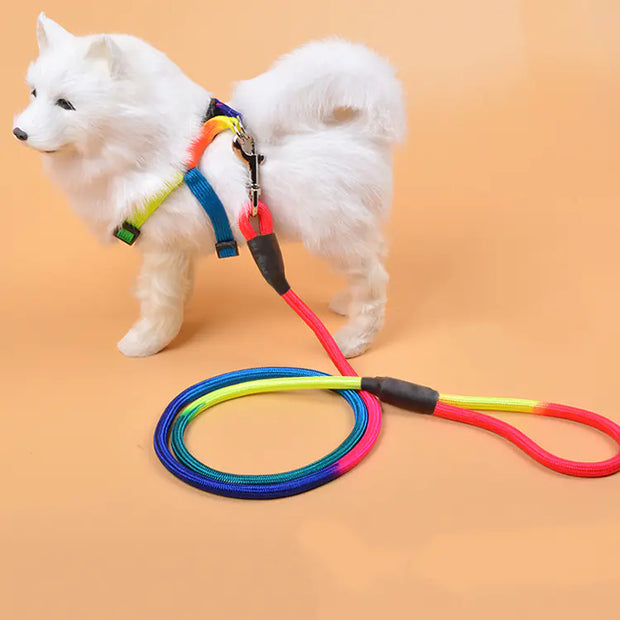 ColorGrip Nylon Dog Leash