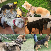 Tactical Comfort Dog Harness