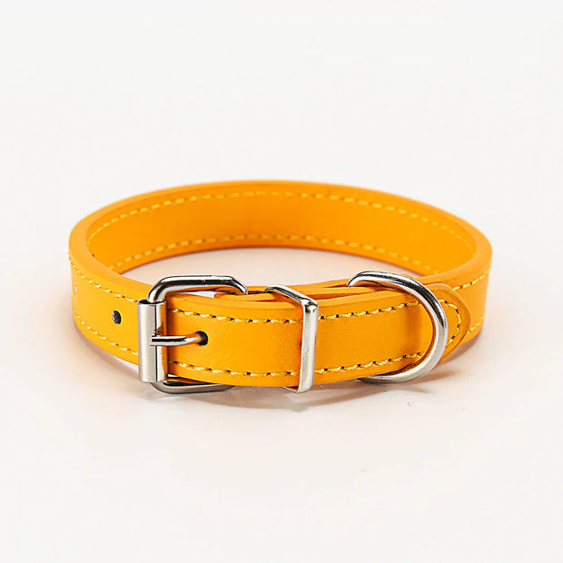 Pet Pizzazz Collar