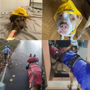 Raincoat Pet Supplies