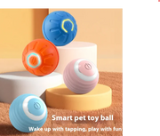 Playful Pup Smart Ball