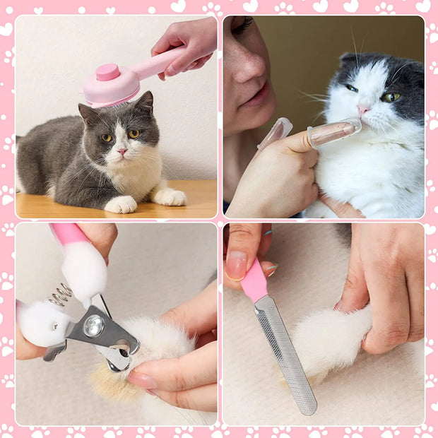 Fur-Free Pet Brush