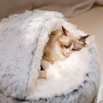 Cozy Shell Cat Bed