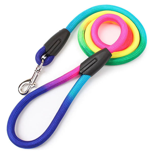 ColorGrip Nylon Dog Leash