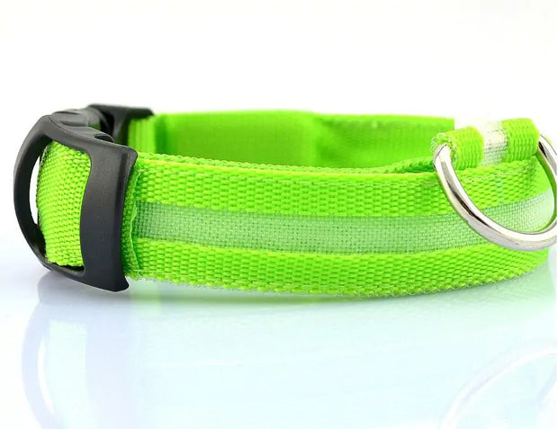 Bright Paws LED Collar