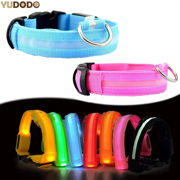 Bright Paws LED Collar