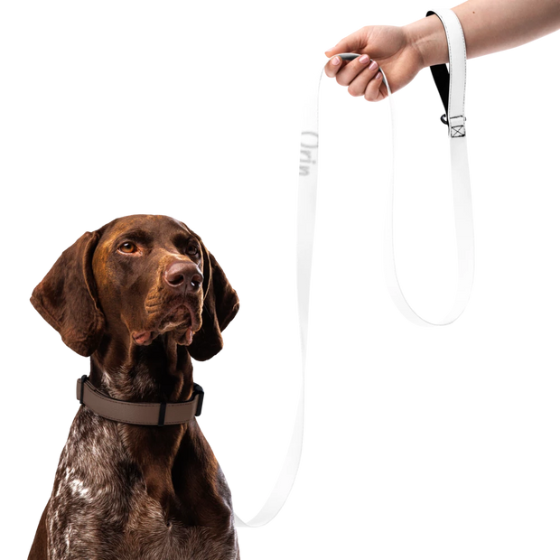 Pet Leash