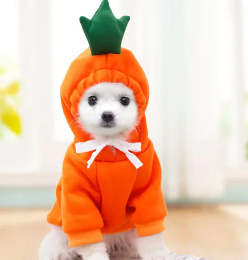 Fruity Pup Sweater