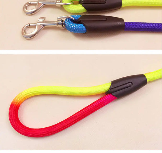 ColorGrip Nylon Dog Leash