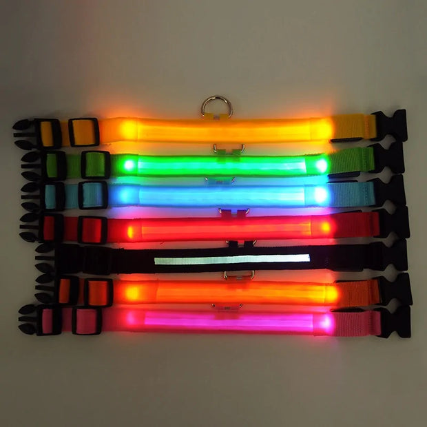 Bright Paws LED Collar