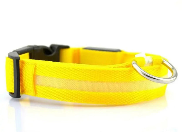 Bright Paws LED Collar