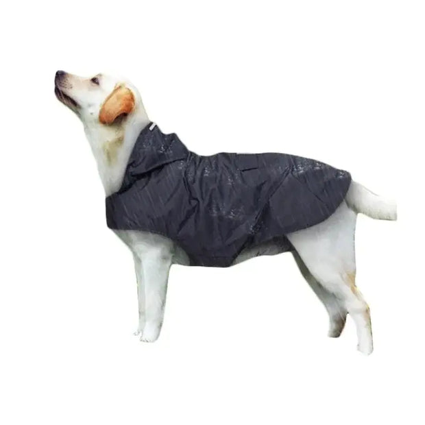 Raincoat Pet Supplies