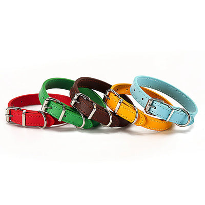 Pet Pizzazz Collar