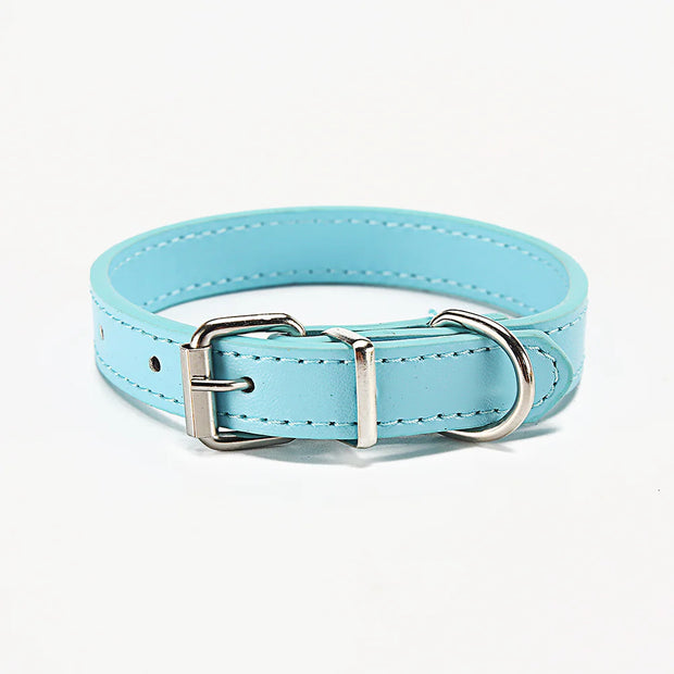 Pet Pizzazz Collar