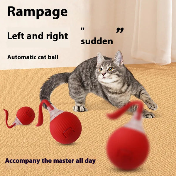 Interactive Cat Ball Toy