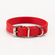 Pet Pizzazz Collar