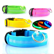 Bright Paws LED Collar