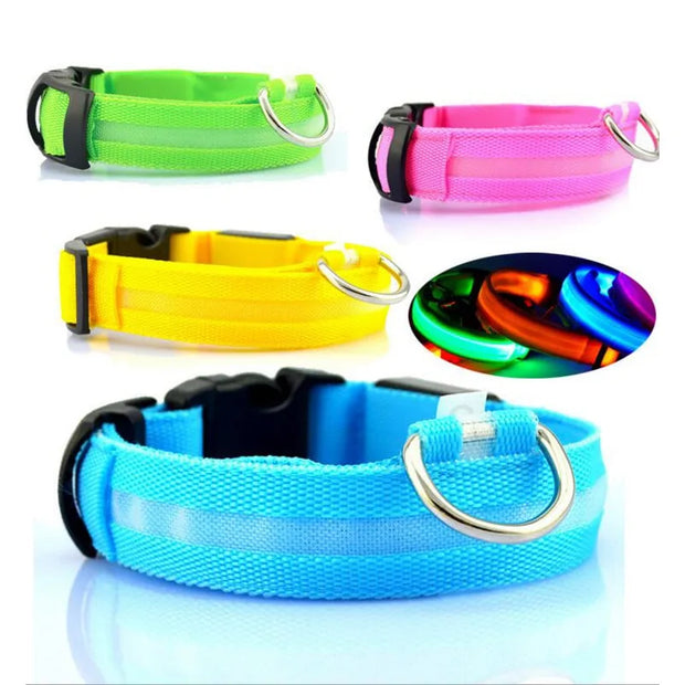 Bright Paws LED Collar