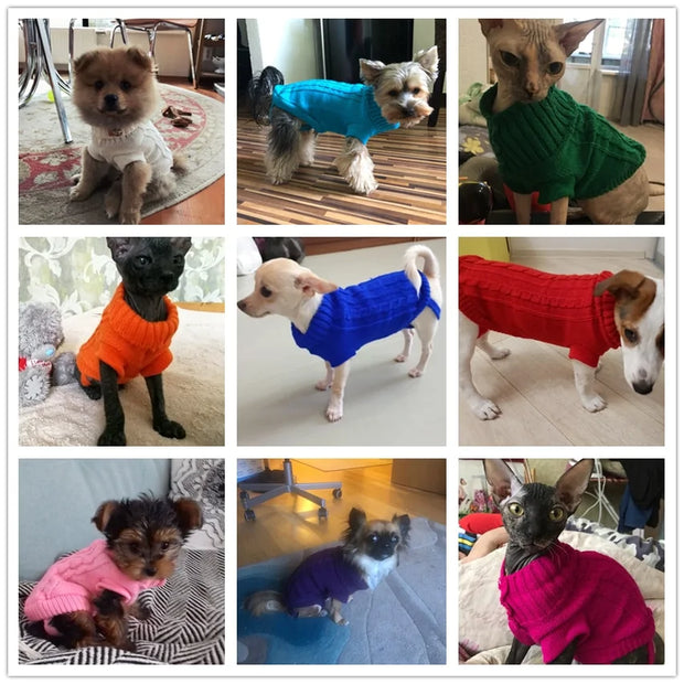 Cozy Canine Knits